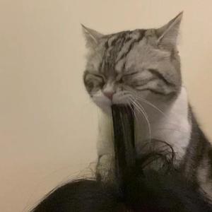 Cos『小尤奈』大乳
