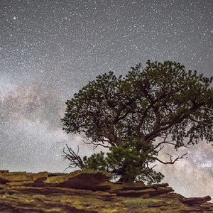 Cos『小尤奈』大乳
